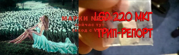 амф Елабуга