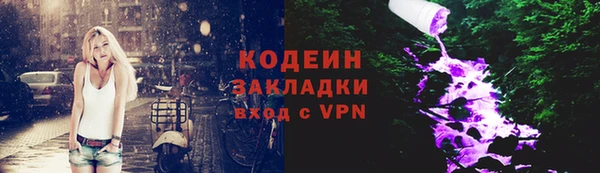 не бодяженный Заводоуковск