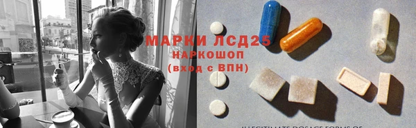 сатива Заволжье