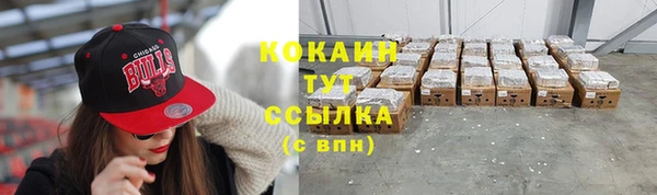 не бодяженный Заводоуковск