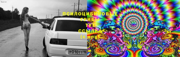 а пвп мука Ельня