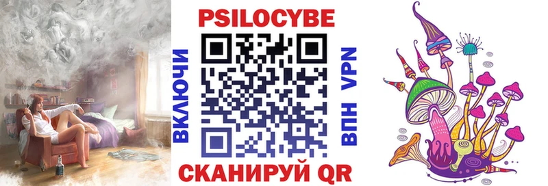 Купить закладки  Хвалынск  Псилоцибиновые грибы прущие грибы 